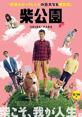 婷婷激情亚洲