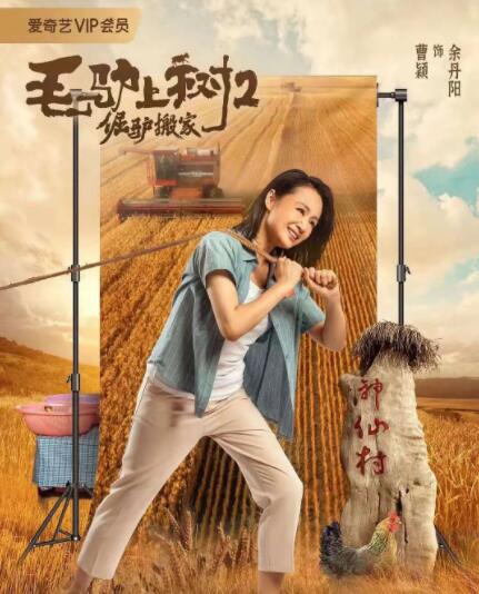 风间由美爱情电影