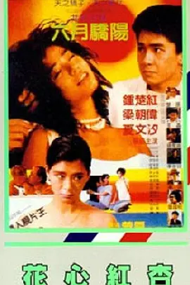 在线免费观看亚洲视频