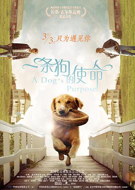 亚洲国产精品婷婷久久久久
