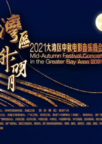 黑老大的三百六十五天免费