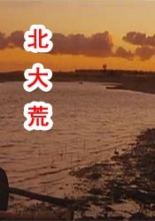 精品久久久三级
