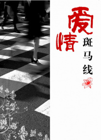 丁香八月婷婷