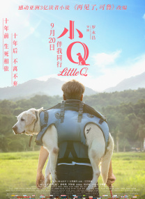 五月婷婷激情综合网