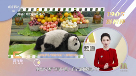 啪一啪免费视频